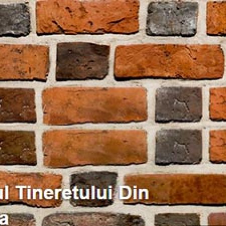 Până Duminică suntem în Capitala Europeană a Tineretului, la Untold Festival. Ne găsiţi la cortul dedicat garanţiei pentru tineri.